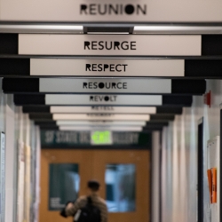 signs saying reunion, resurge, respect 