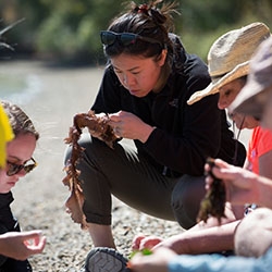 student field researcher